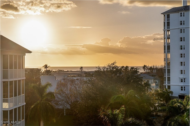 property view of water