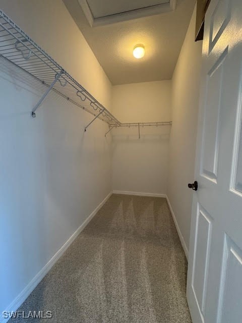 walk in closet featuring carpet