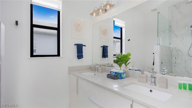 bathroom featuring vanity and a shower with shower door