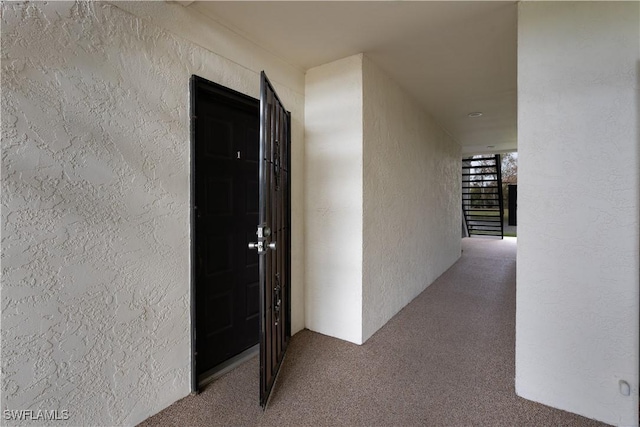 hallway featuring carpet floors