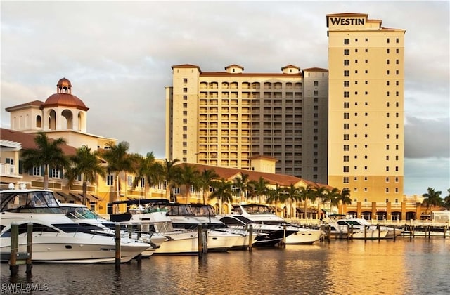 property view of water with a boat dock