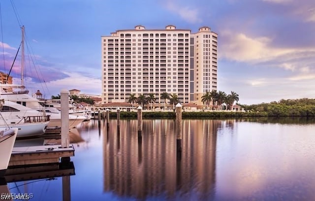 property view of water with a boat dock