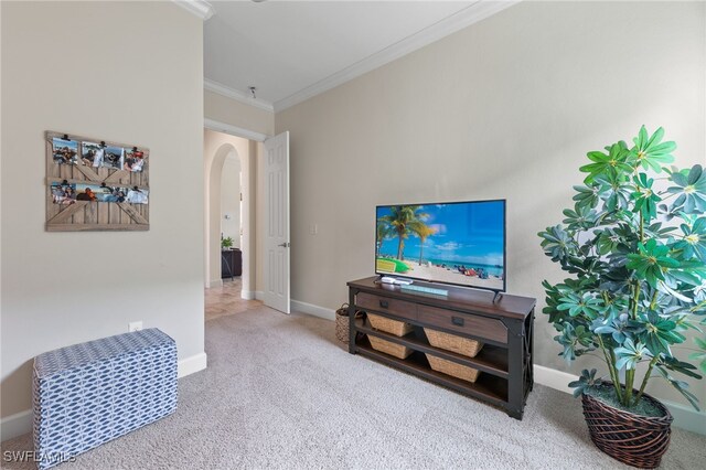 living room featuring carpet and crown molding