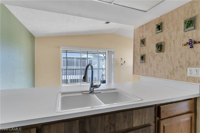 kitchen with sink and vaulted ceiling