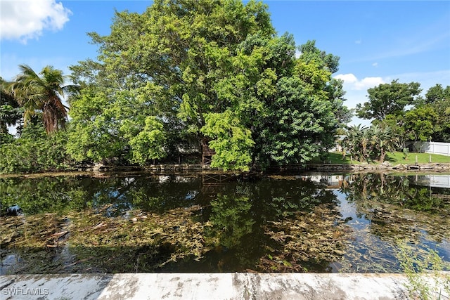 view of water feature