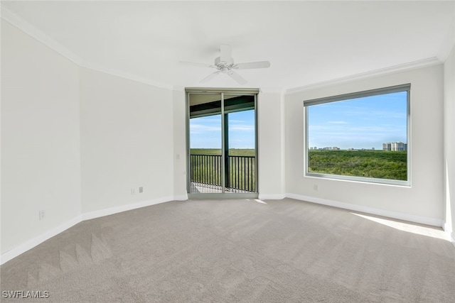 carpeted empty room featuring crown molding and ceiling fan