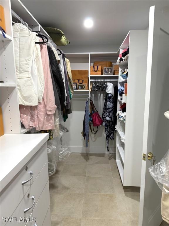 view of spacious closet