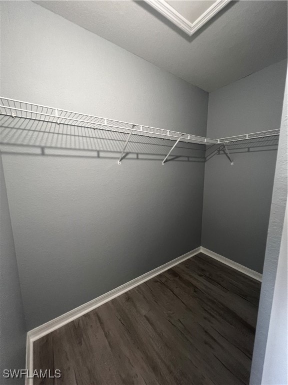 walk in closet with dark wood-type flooring