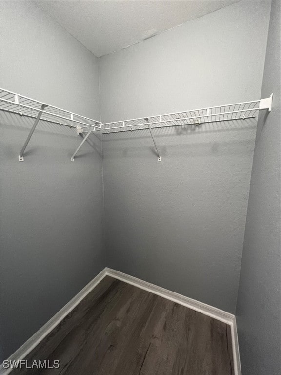 walk in closet featuring dark wood-type flooring