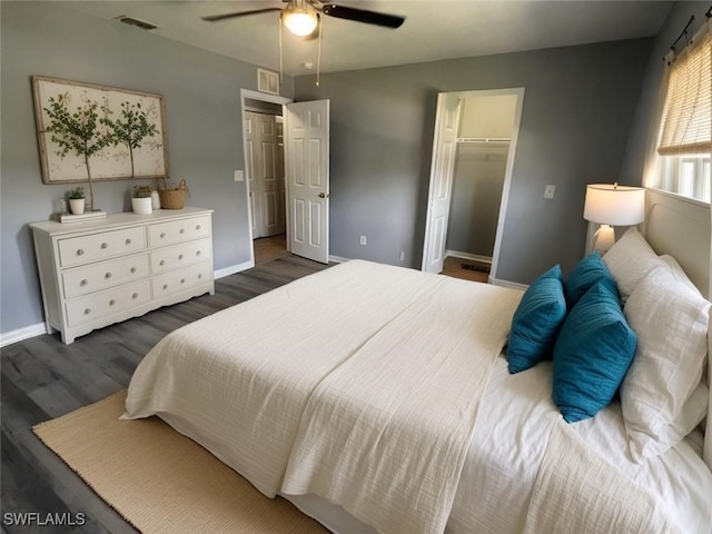 bedroom with ceiling fan, a spacious closet, dark wood-type flooring, and a closet