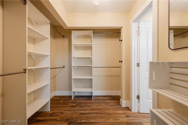 walk in closet featuring dark wood-type flooring