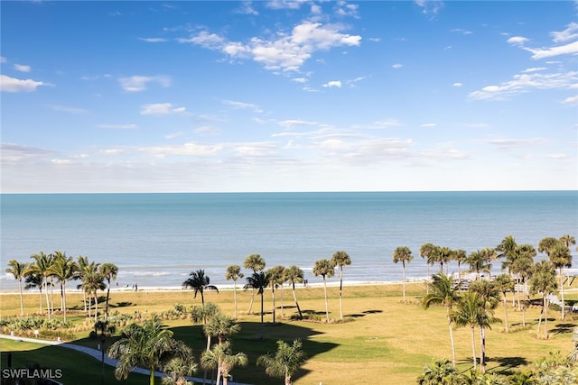 view of water feature featuring a view of the beach