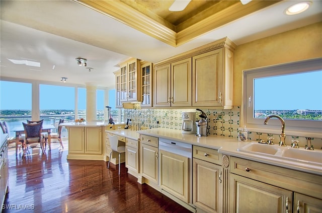 kitchen featuring light brown cabinetry, sink, backsplash, a tray ceiling, and dark hardwood / wood-style floors