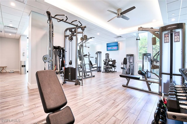 exercise room with a drop ceiling, light hardwood / wood-style floors, and ceiling fan