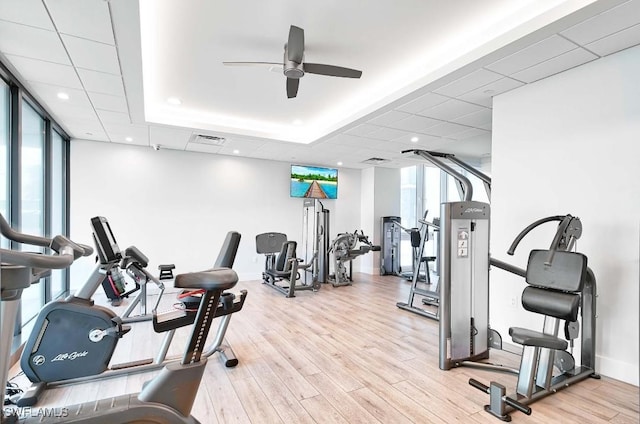 exercise room featuring ceiling fan, light wood-type flooring, and a wealth of natural light