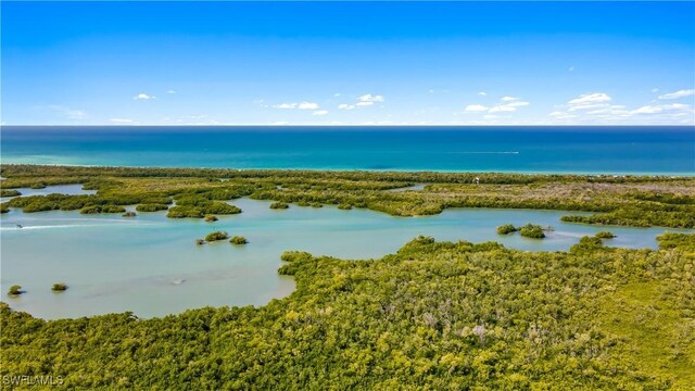 property view of water featuring a wooded view