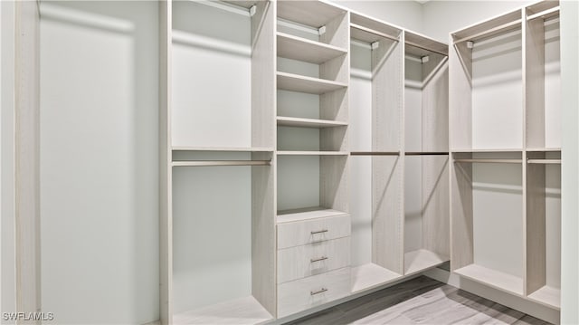 spacious closet featuring wood-type flooring