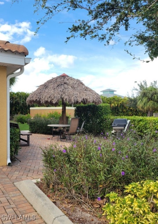 view of yard with a patio