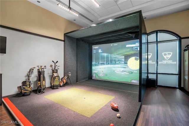 recreation room featuring golf simulator