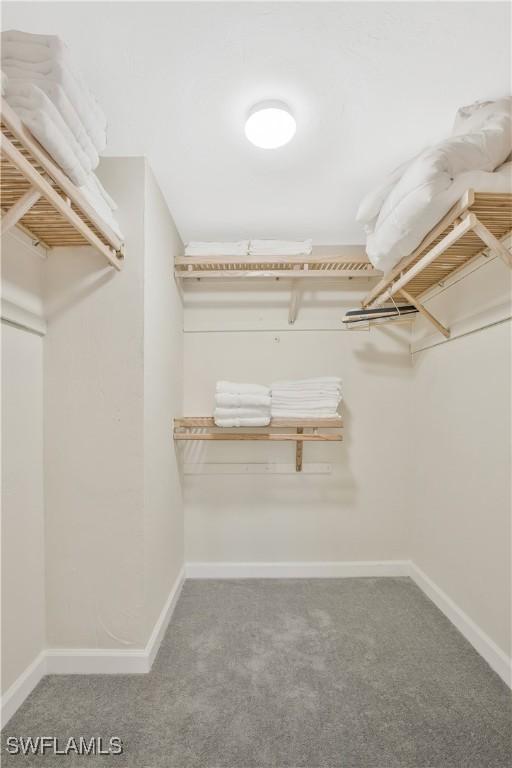 1039 Cardinal St, Naples, FL 34104 - walk in closet featuring carpet floors