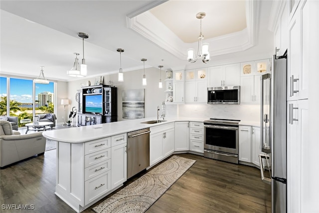 kitchen with a tray ceiling, a peninsula, a sink, appliances with stainless steel finishes, and open floor plan