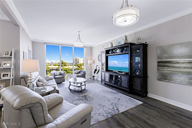 living room featuring baseboards, crown molding, and dark wood-type flooring