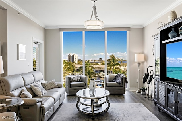 living area with baseboards, dark wood finished floors, floor to ceiling windows, and crown molding