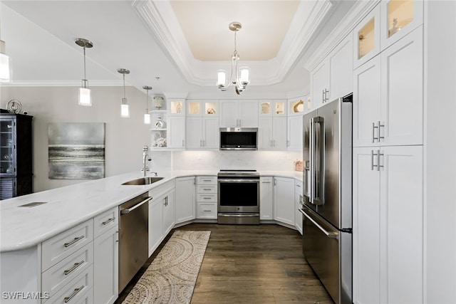 kitchen featuring dark wood-type flooring, a tray ceiling, appliances with stainless steel finishes, a peninsula, and a sink