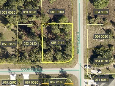 County St E, Lehigh Acres FL, 33974 land for sale