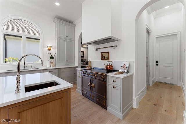 kitchen featuring white cabinets, custom range hood, ornamental molding, and light hardwood / wood-style flooring