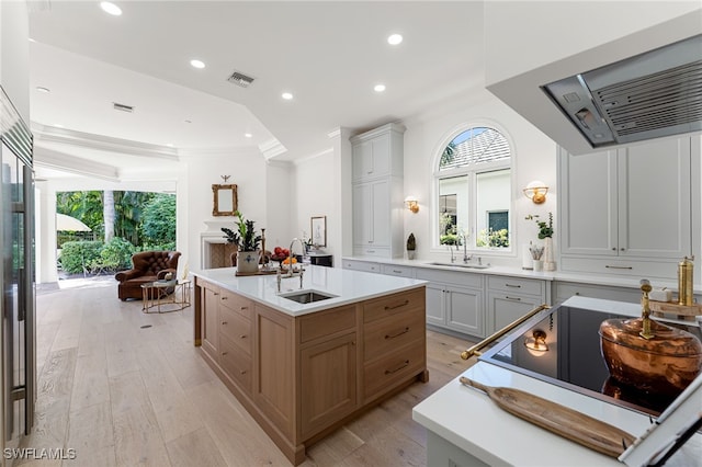 kitchen featuring crown molding, sink, light hardwood / wood-style floors, and a center island with sink