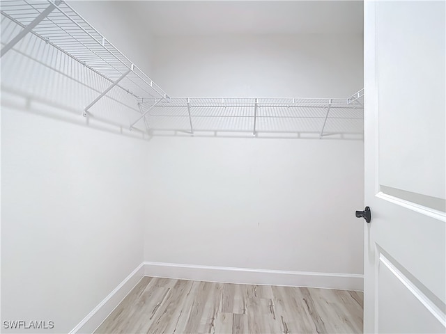 spacious closet featuring light hardwood / wood-style floors