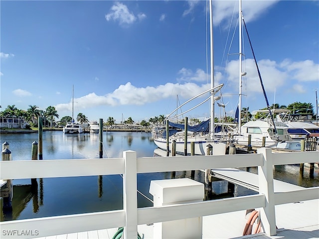 dock area with a water view