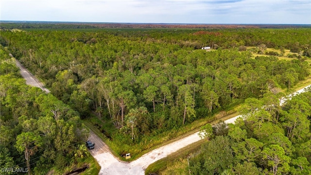 Sanctuary Rd, Naples FL, 34120 land for sale