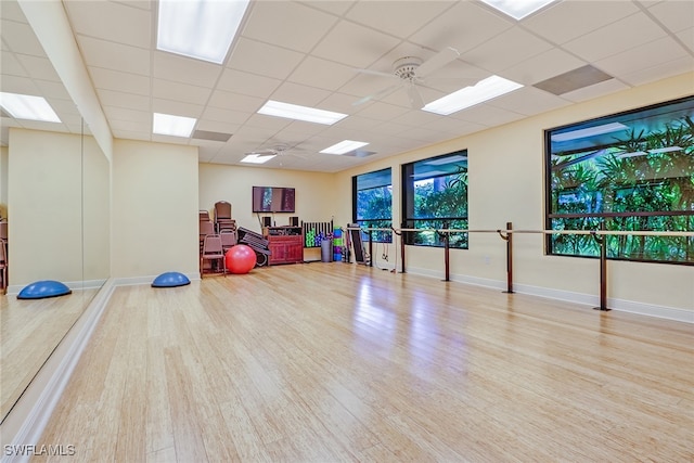 workout area with a drop ceiling, light hardwood / wood-style flooring, and ceiling fan