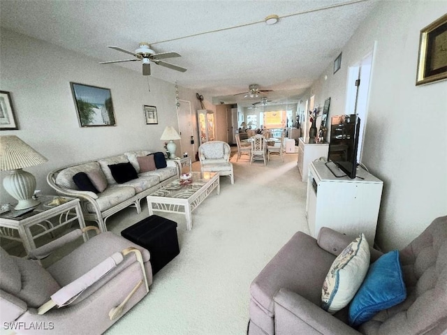 carpeted living room with a textured ceiling