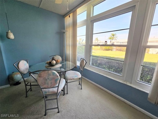 dining space featuring carpet floors, a sunroom, and baseboards