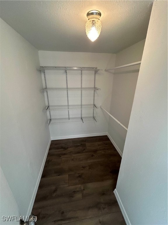 spacious closet featuring dark hardwood / wood-style flooring