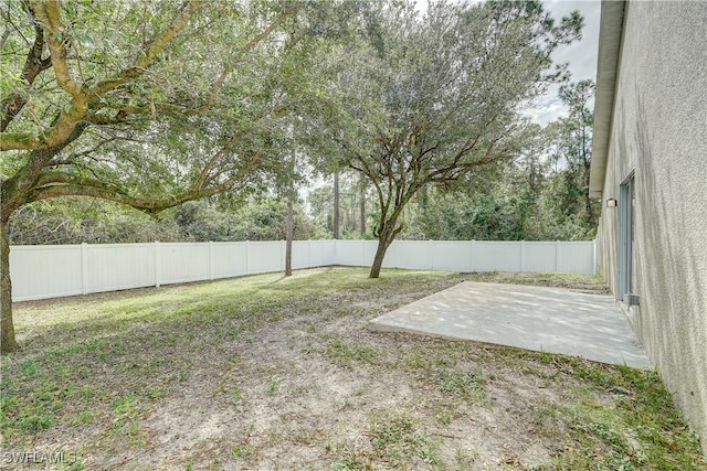 view of yard with a patio area