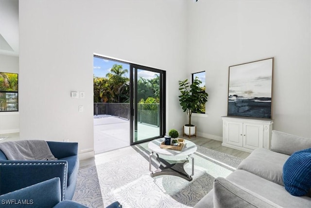 living area featuring wood finished floors, a towering ceiling, and baseboards