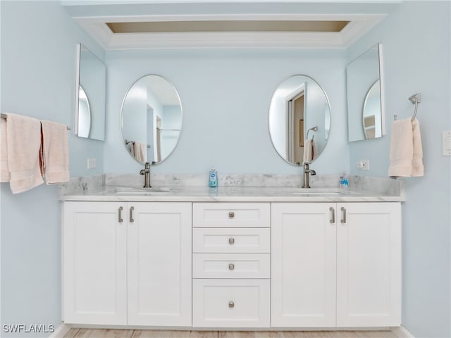 bathroom with vanity, wood-type flooring, and ornamental molding