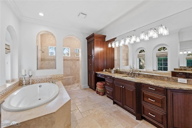 bathroom featuring a garden tub, visible vents, a wealth of natural light, and vanity