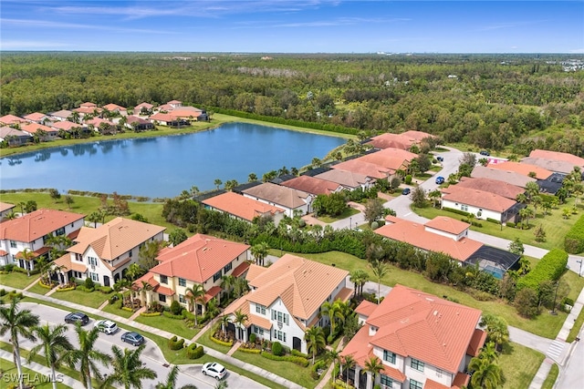 aerial view with a water view