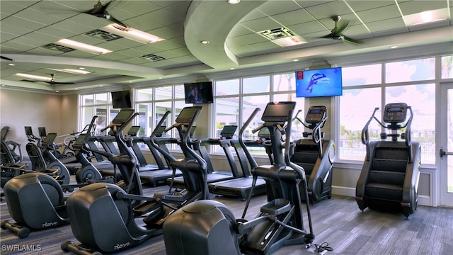 workout area featuring a tray ceiling, a paneled ceiling, and ceiling fan