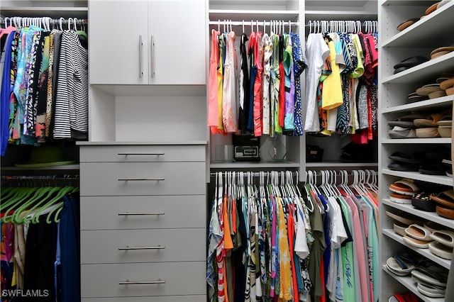 view of spacious closet