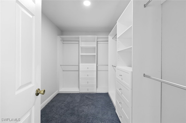 spacious closet with dark colored carpet