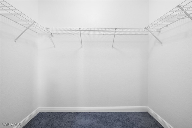 walk in closet featuring carpet flooring