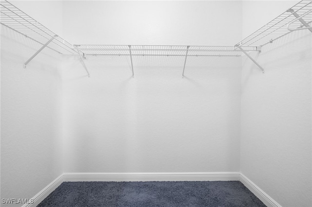 3645 70th Ave NE, Naples, FL 34120 - spacious closet with carpet floors