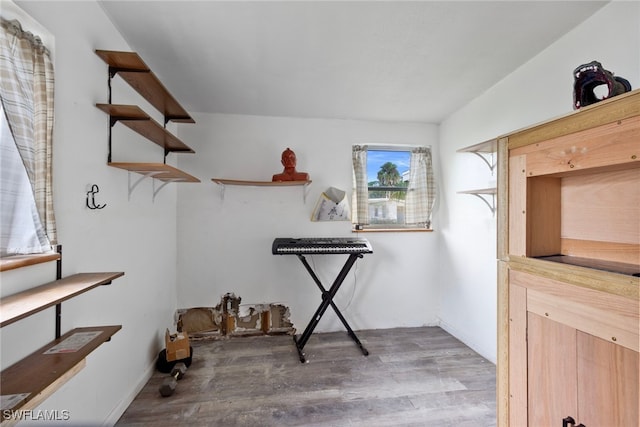 interior space featuring hardwood / wood-style floors