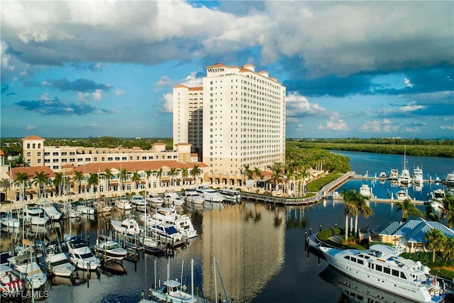 drone / aerial view with a water view